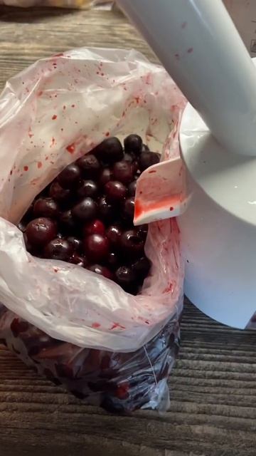 Удаляю косточки у вишни смотреть онлайн