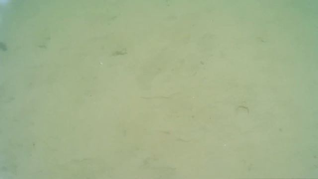 ОЗЕРО. Світясь смотреть онлайн