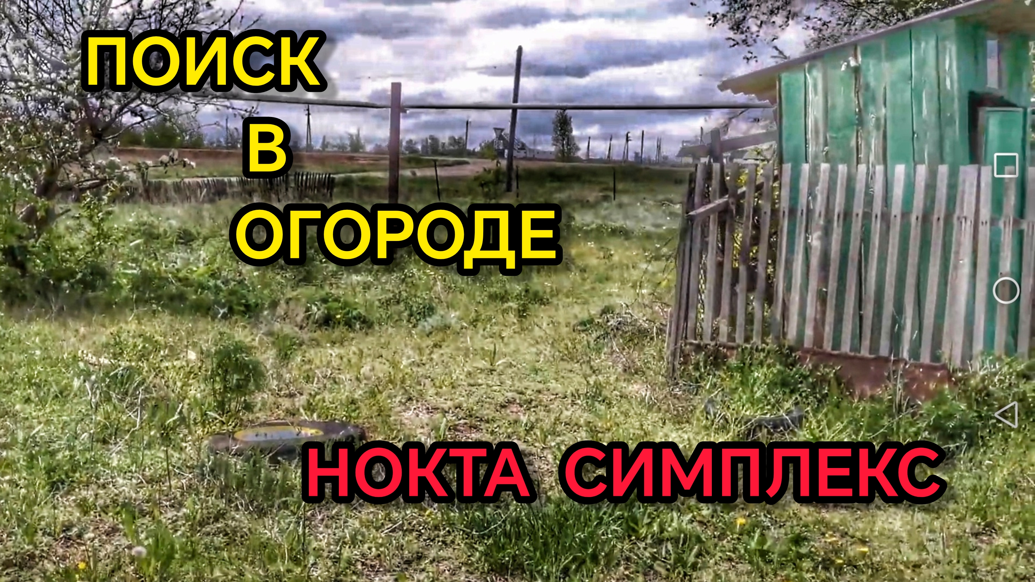 Поиск с металлоискателем. Коп монет. Нокта симплекс.