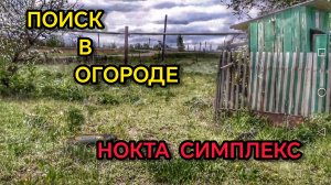 Поиск с металлоискателем. Коп монет. Нокта симплекс.