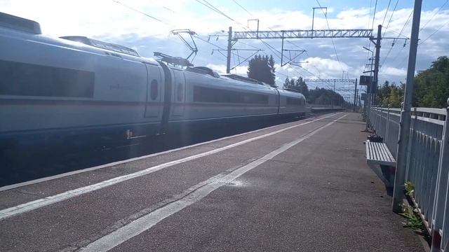 Электропоезд "САПСАН" ЭВС1-06 проследовал платформу Трубниково смотреть онлайн