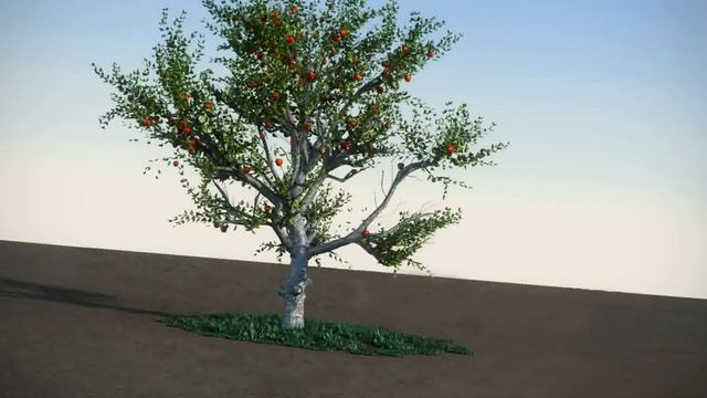 3D Model of Apple With Red Apples HiPoly Tree Review смотреть онлайн