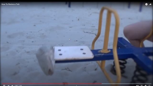 КАК ОЖИВИТЬ РЫБУ реакция на HowToBasic смотреть онлайн