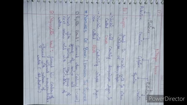 Biomolecules class 11th biology chapter 9 handwritten notes pdf for board exam 2021 смотреть онлайн