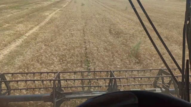 Начало уборки 2023 года.