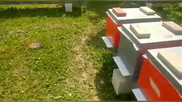 Как выводить Маток Качественно!!!