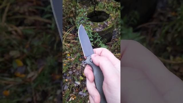 Dagger Wocket личное мнение!