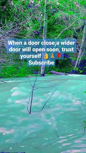 door #shorts #meditationmusic #beautifulnature #naturesounds #whitenoise #viral #relax смотреть онлайн