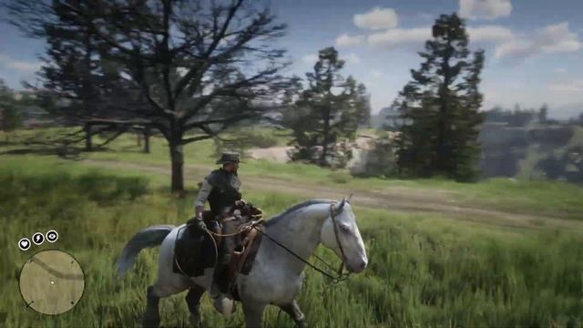 We Ride ZEBRA In Modded Red Dead Redemption 2 - So Fast, So Strong, So Deadly!