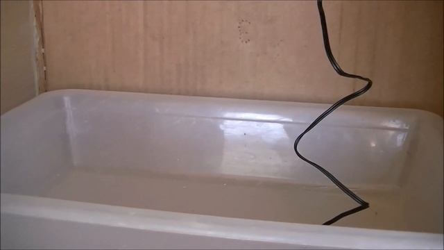 Cómo Hacer Una Incubadora Casera.