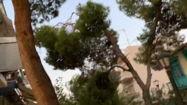 Птицы в Греции . Чирикают . смотреть онлайн