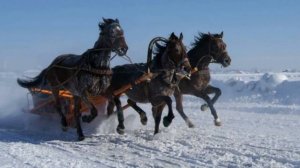 "Ехали на тройке с бубенцами". Елена Бажанова.