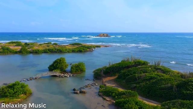 Успокаивающая музыка, «звуки осенних птиц» успокаивает нервную систему и радует душу, исцеляя. смотреть онлайн