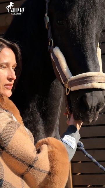 Перезагрузка сознания за один день: атмосфера свободы и приключений! смотреть онлайн