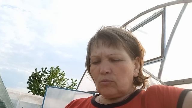 розповідаю про сорти полуниці смотреть онлайн