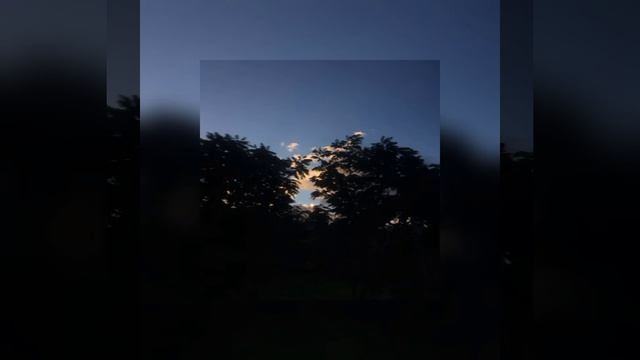 Quarteto em Cy - Tudo que Você Podia Ser.