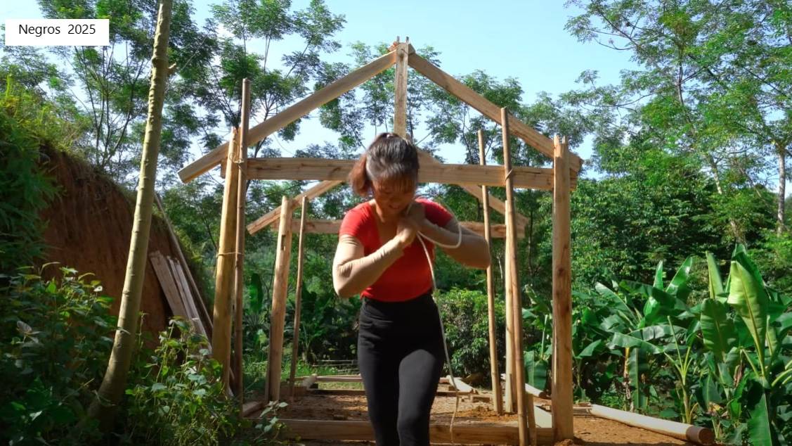 Дорис строит дом 2. смотреть онлайн