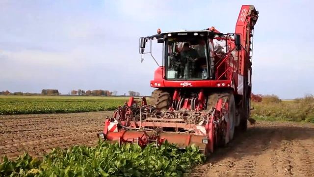 Уборка сахарной свеклы Штрубе смотреть онлайн