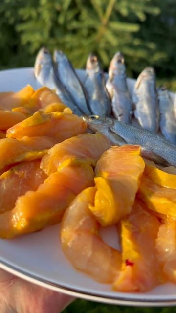 Стерлядь и Тугунок слабой соли 🐟🔥 #азбукасевера