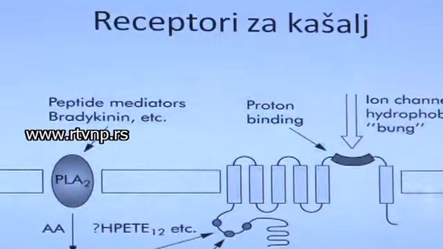 Pulmologija смотреть онлайн