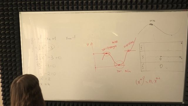 ИССЛЕДОВАНИЕ ФУНКЦИЙ НА МАКСИМУМ С АНАСТАСИЕЙ № 3