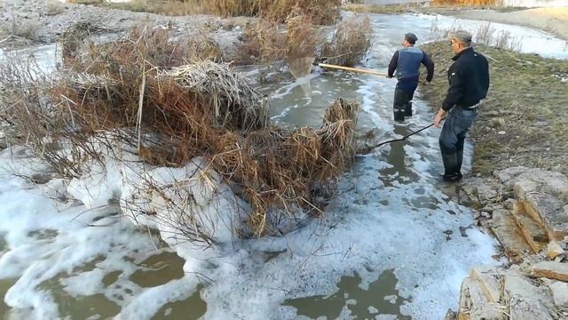 Аркалык смотреть онлайн