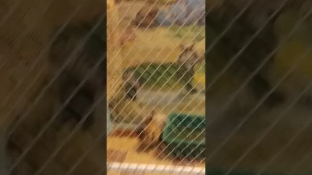 Как вырваться из клетки Вашего сознания смотреть онлайн