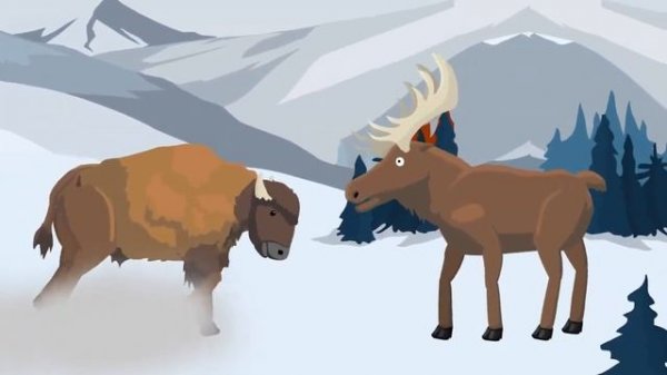 Moose vs Bison | Animal Tournament [S1] | Animal Animation