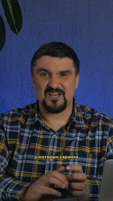 Почему самозанятость и собственный бизнес иногда бывают хуже найма? смотреть онлайн