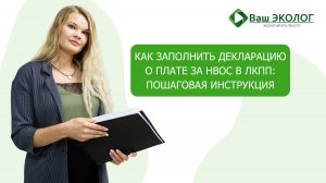 Как заполнить декларацию о плате за НВОС в ЛКПП: пошаговая инструкция