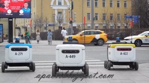 Выясняют отношения роботы доставщики яндекс в Москве (им уже в Москве тесно?) видео 2024 года