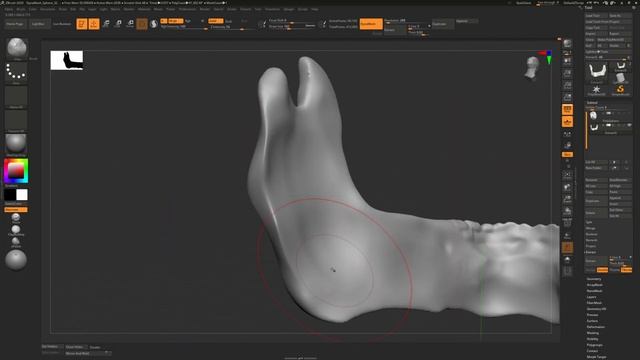 Zbrush Speed Sculpt : Skull training #1 смотреть онлайн