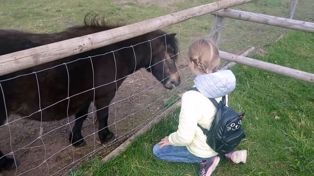 Минизоопарк Dobuļi mini zoo смотреть онлайн