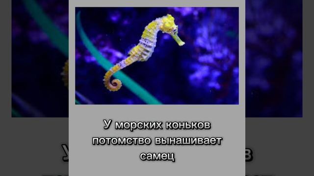 #интересные факты смотреть онлайн