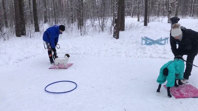 КМС - 36 (вк-15). смотреть онлайн
