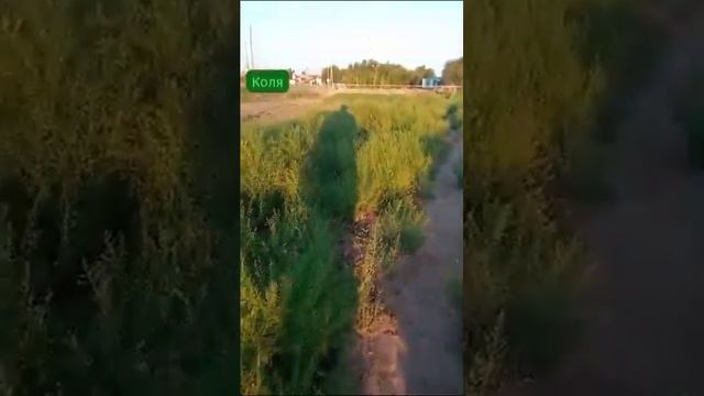 АУДИО СТЕМЕЙТ ,СМС ТЕК. АУДИО запись ТЫҢДАЛМАЙТ! ☎❤ 87025469981 ❤АКТИВ. ВАЦАП📞❤87004630731❤ смотреть онлайн