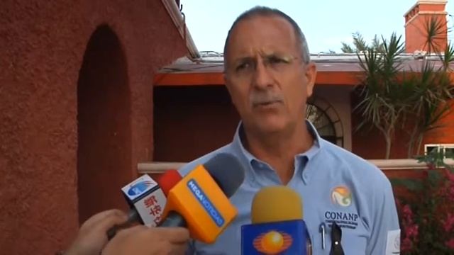 Se Varan Ballenas En Ojo De Liebre