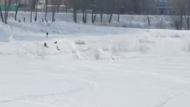 В Раменском купание запрещено смотреть онлайн