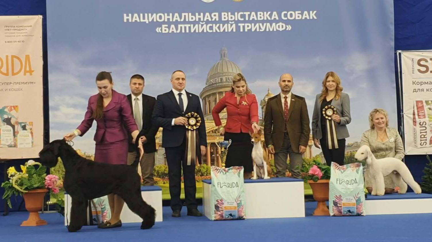 22-23.02.2025, СПб. "Невская Застава" (РКФ, РФЛС). Рейтинговая выставка собак "БАЛТИЙСКИЙ ТРИУМФ" смотреть онлайн