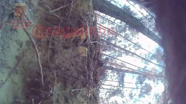 Последние секунды жизни группы бойцов ВСУ, уничтоженных огнем российской арты, лето 2023 смотреть онлайн