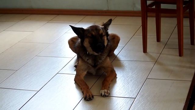 Хим.чистка в г.Бердск #ЧистоБудет смотреть онлайн