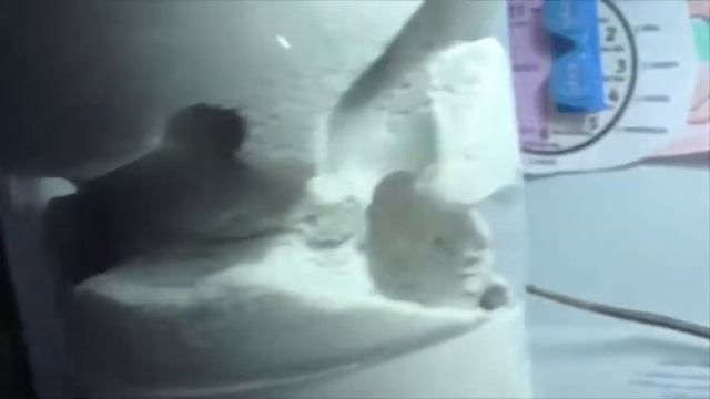 myrmécologie retour de vacances смотреть онлайн