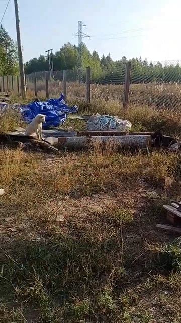 ловля бурундука начало смотреть онлайн