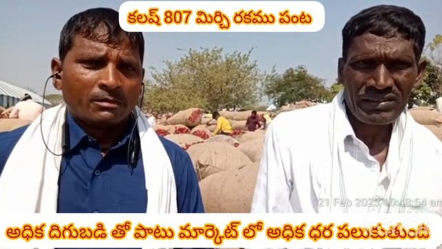 కలష్ సీడ్స్807 మిరప పంట,ఎకరాకు35 క్వింటాళ్ల పైన దిగుబడి వస్తూ, మార్కెట్ లో అధిక ధర పలుకుతుంది смотреть онлайн