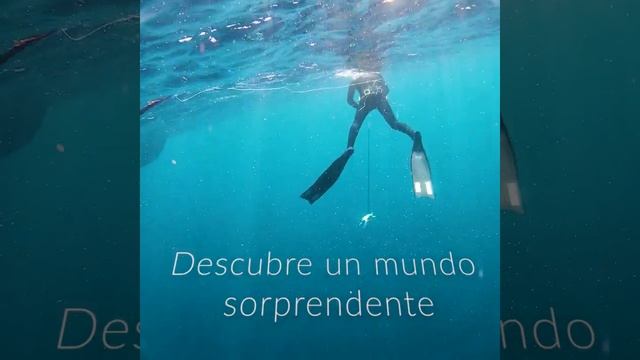 Curso fgc feb2020 смотреть онлайн