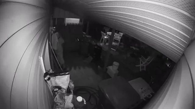 Pervert Caught on Camera Watching Young Woman Through Window (Part 2) смотреть онлайн