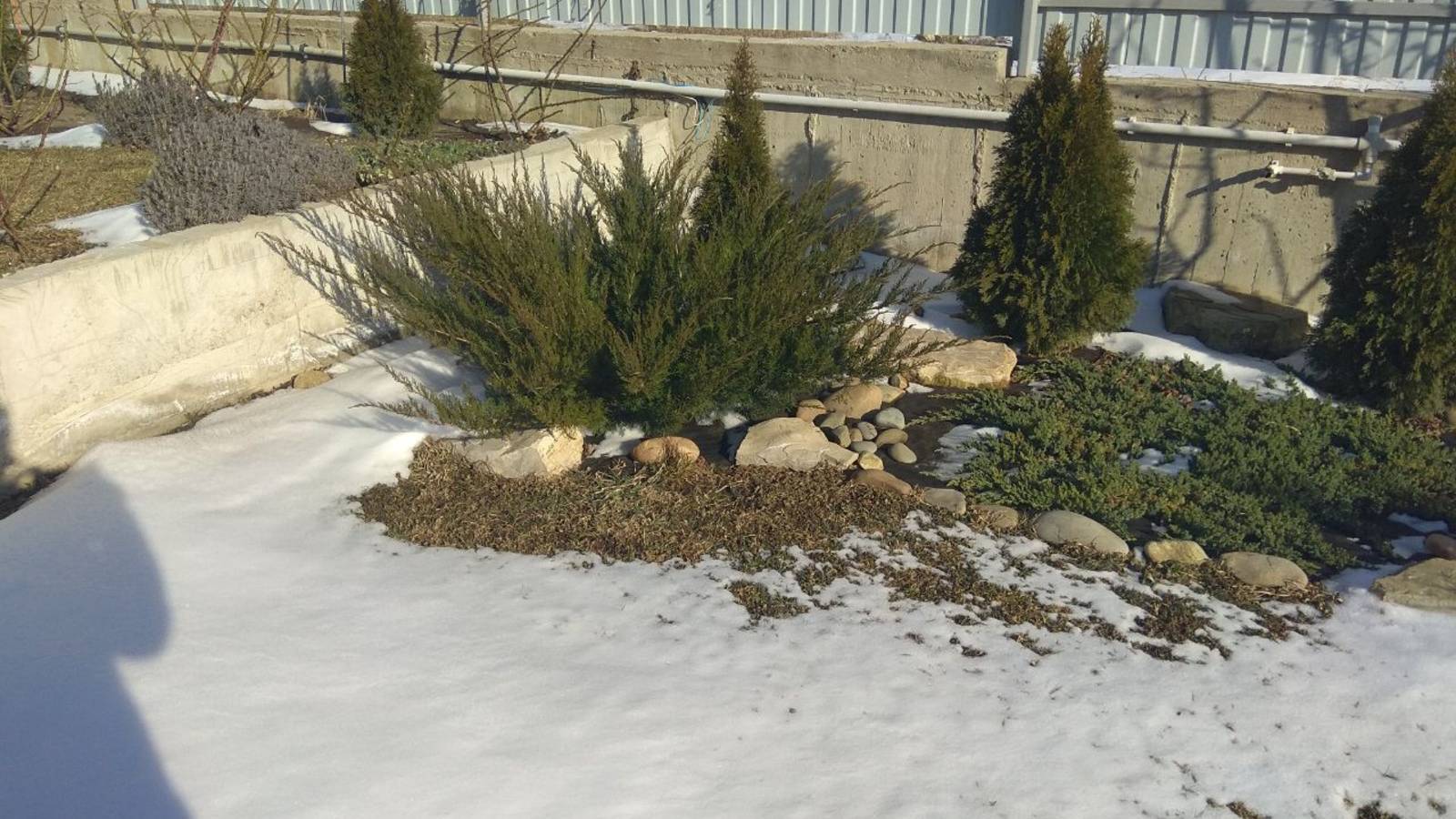 Теплое южное солнце сменило морозы. смотреть онлайн