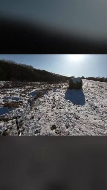 ОХОТА НА ЗАЙЦА