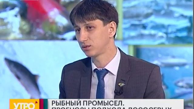 Прогнозы подхода лососевых. Утро с Губернией. 12/04/2018. GuberniaTV смотреть онлайн