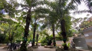 The Royal Paradise Hotel & Spa (โรงแรมรอยัลพาราไดซ์) / Phuket Thailand 🇹🇭